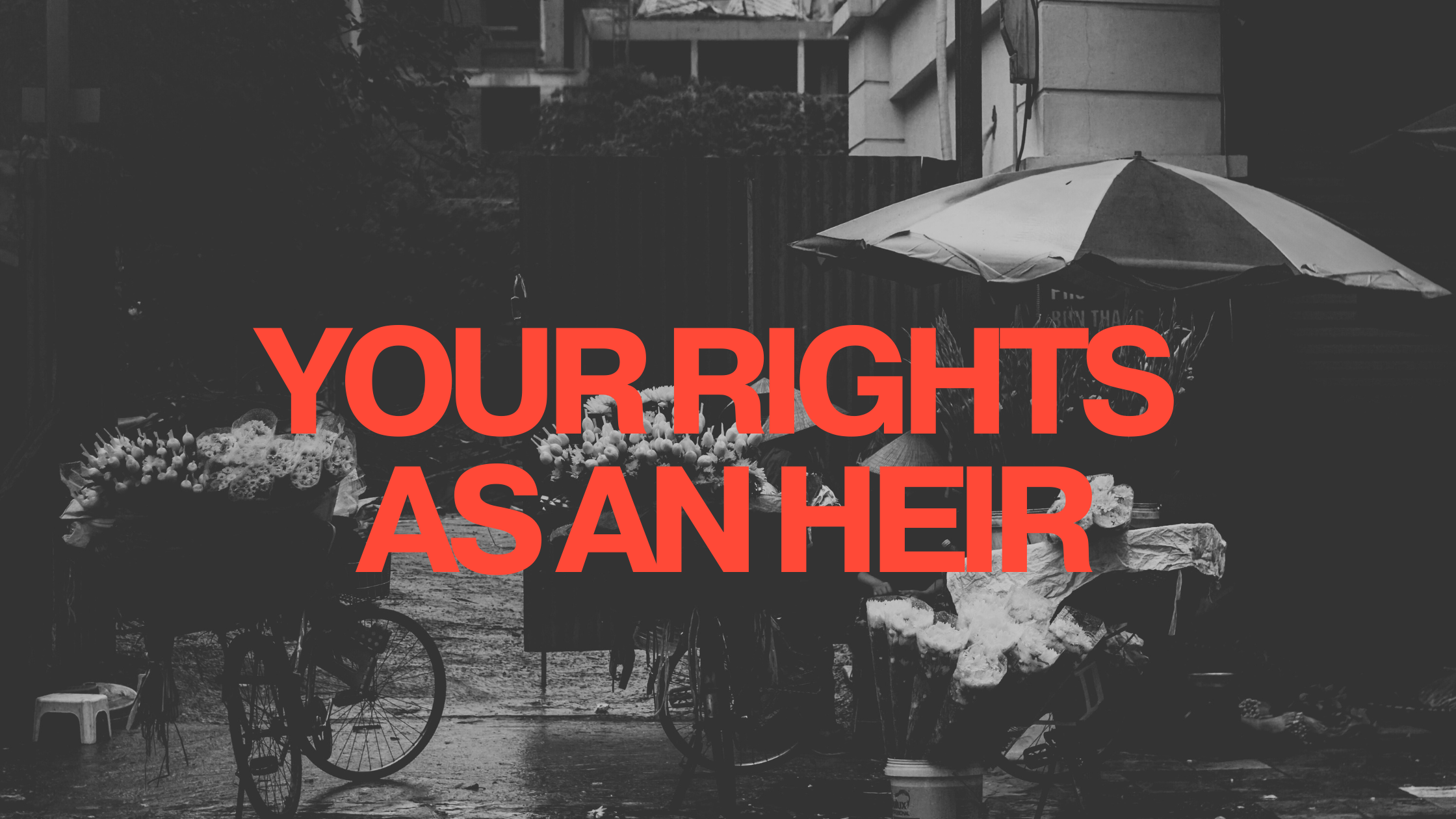 Your rights as an heir illustration